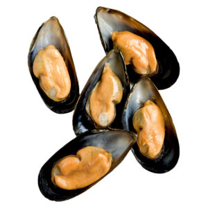 CHOLGAS MEDIA VALVA EPUYEN 500 G