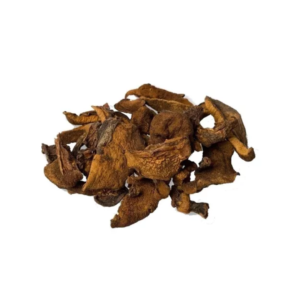 HONGOS SECOS CHILENOS EL K