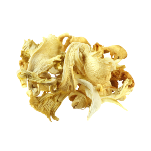 HONGOS SECOS (GIRGO)PLEUROTUS OYSTER X K