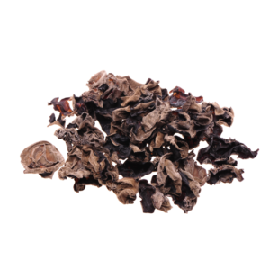 HONGOS SECOS NEGROS FUNGUS EL K