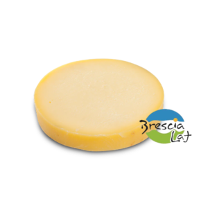 QUESO PROVOLETA BRESCIA EL KILO