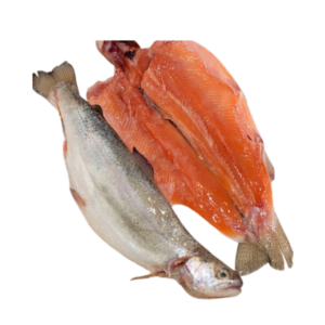 TRUCHA MARIPOSA ARCO IRIS EL KG