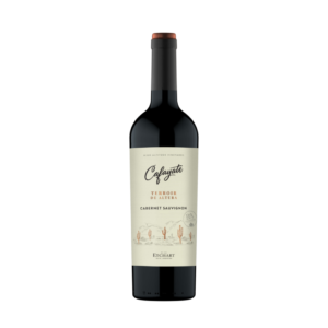 VINO CABERNET TERROIR CAFAYATE 750 CC