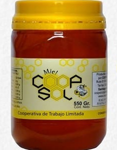 MIEL ABEJA COOP SOL 500 GR