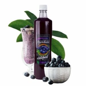 PULPA ARANDANOS CALIPUL 1100 CC