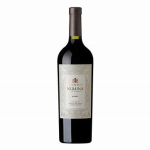 VINO MALBEC NUMINA SALENTEIN X 750