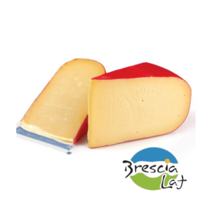 QUESO FONTINA BRESCIA LAT EL KILO